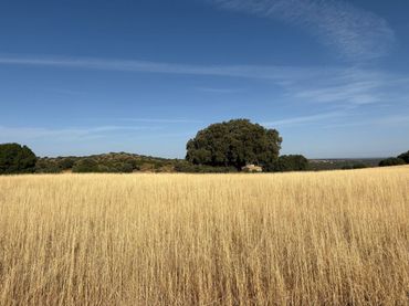 Country house for sale in Ruidera