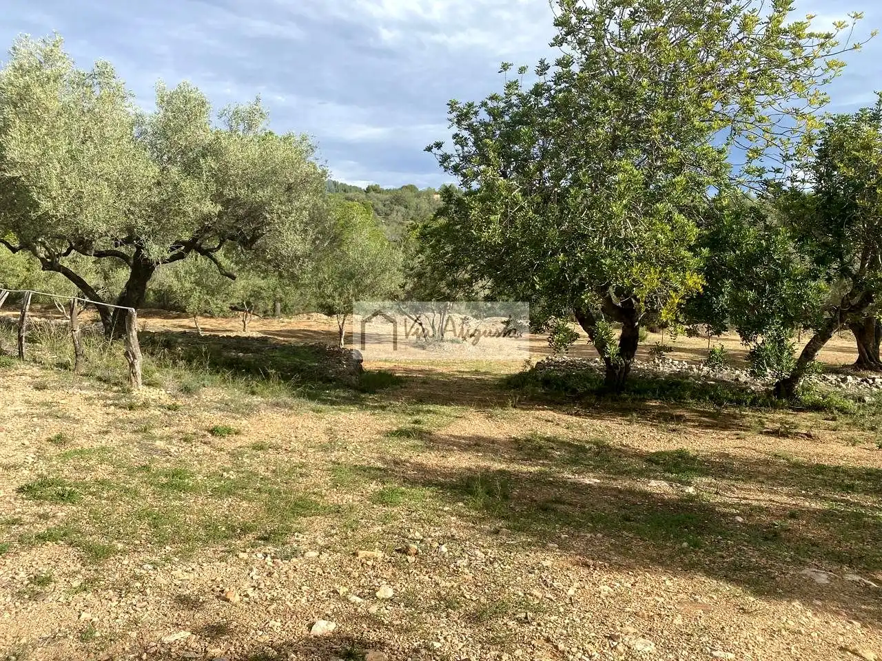 Terreny rústic en venda a Lo Coll d'en Carbo, imagen 15