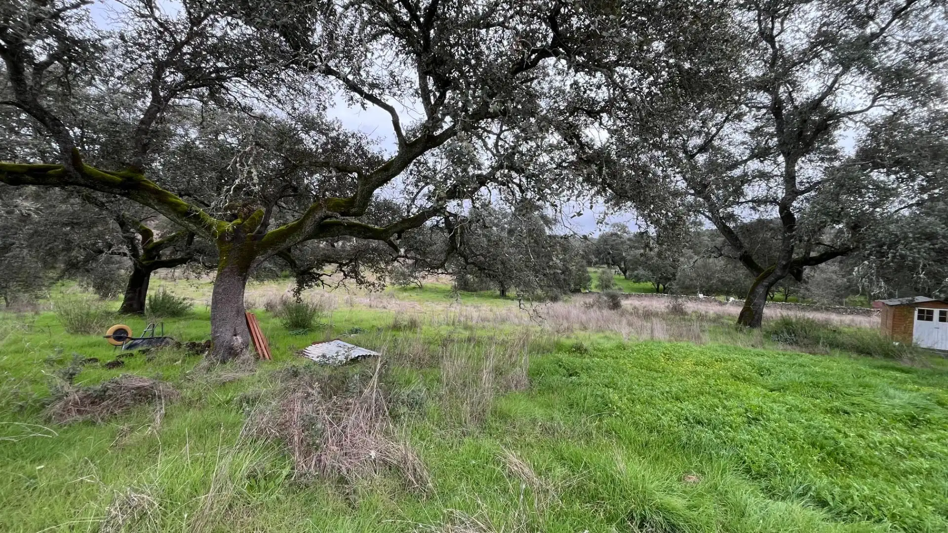 House with garden for sale in Polígono Polígono 10 Paraje 144 MOLINO, imagen 32
