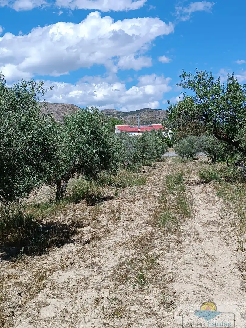 Villa in vendita a Oria, imagen 32