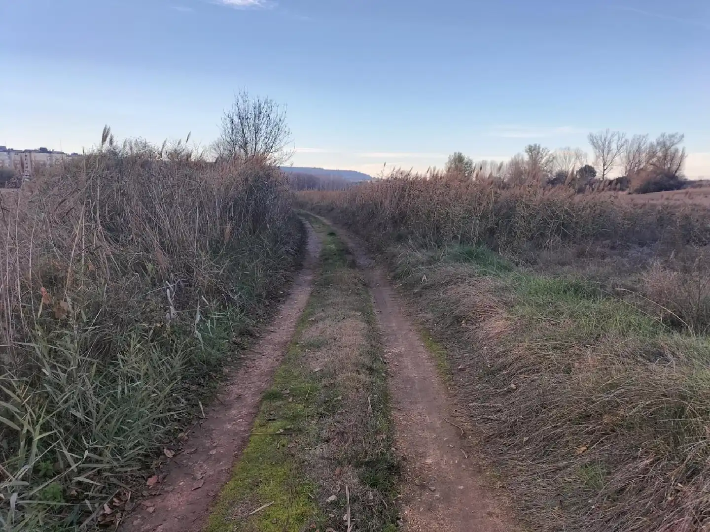 Terreno en venta en Villamuriel de Cerrato