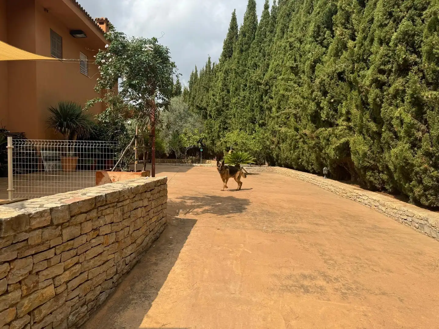 Vista exterior de Casa o xalet en venda en Borriol amb Aire condicionat, Jardí privat i Terrassa