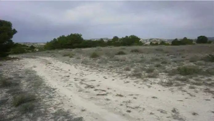Rustikales Grundstück zum Verkauf in Paraje Carrasquilla, imagen 2
