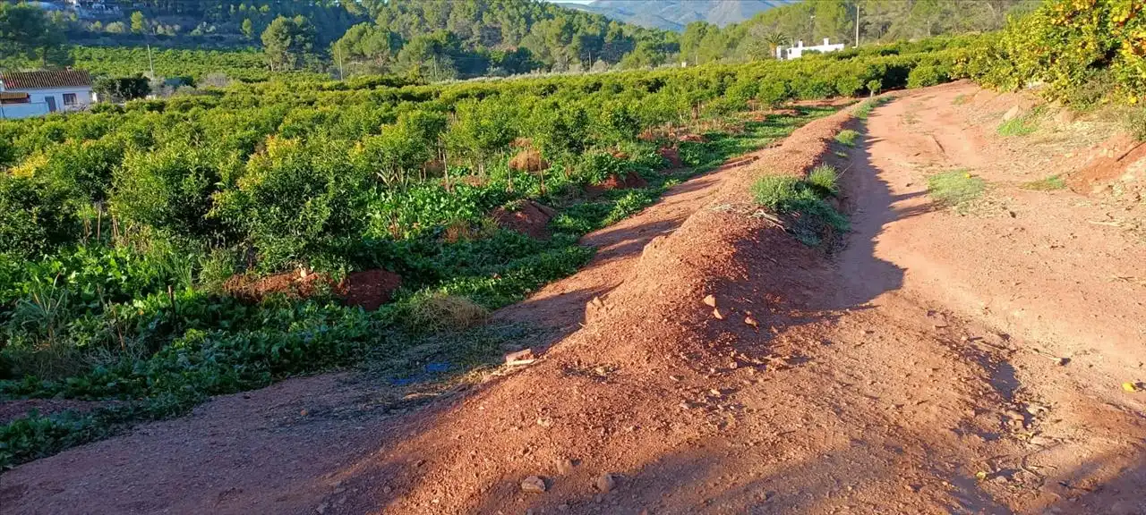 Land for sale in Torres Torres