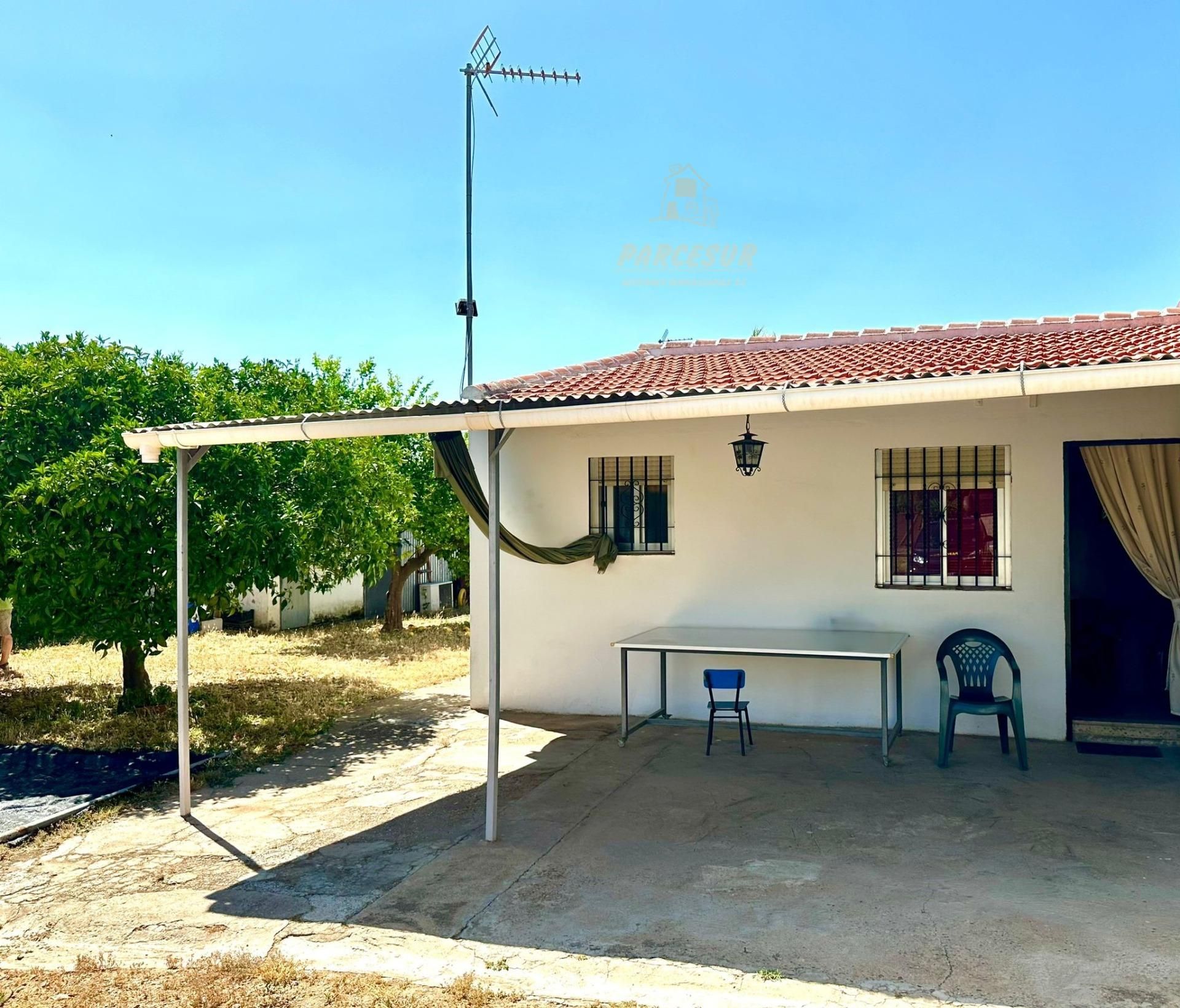 Casa o chalet en venta en El Higuerón