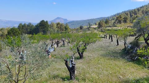 Foto 3 de Casa o chalet en venta en Diseminados, Benifallim, Alicante