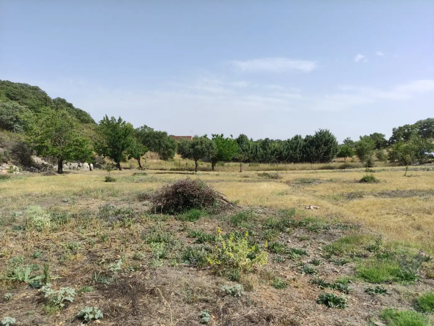 Terreny residencial en venda a Loranca de Tajuña, imagen 40