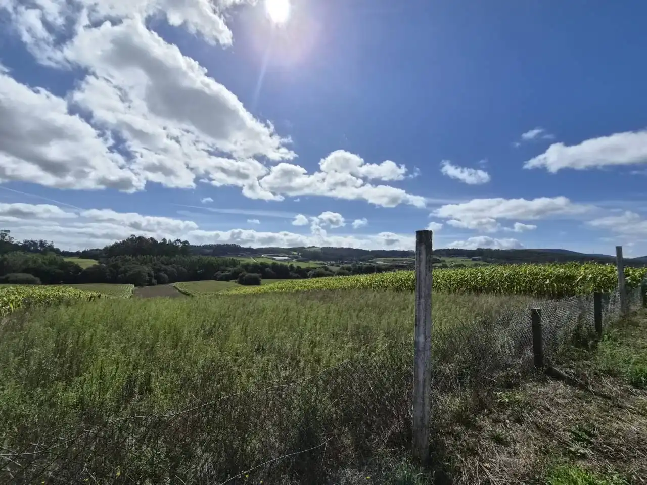 Country homes for sale in Rois  with Private garden, Furnished and Alarm