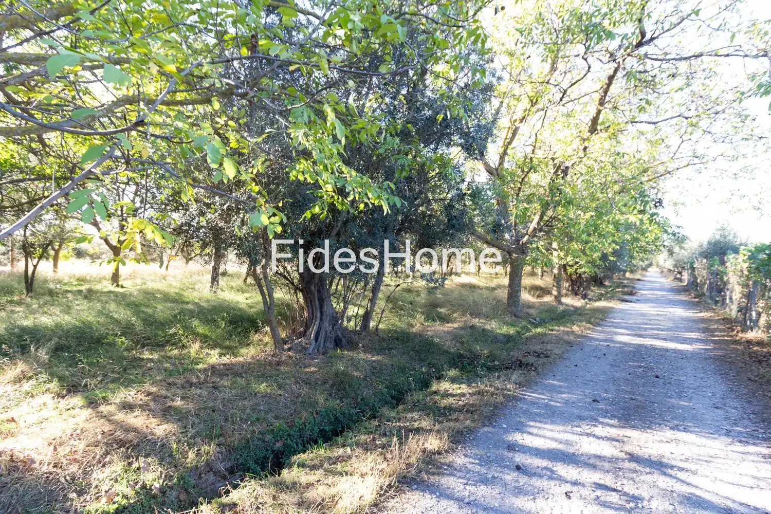Rural land for sale in XFC2+47H Acequias 0, imagen 5