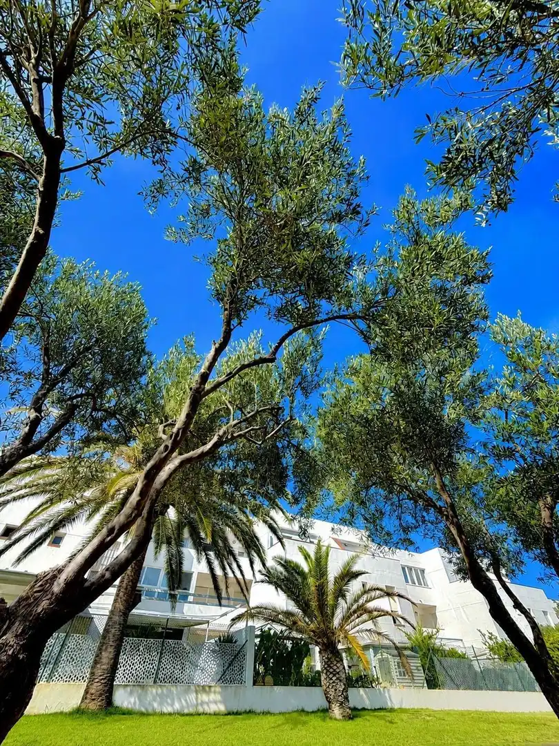 Vista exterior de Ático en venta en Almería con Aire acondicionado, Calefacción y Jardín privado