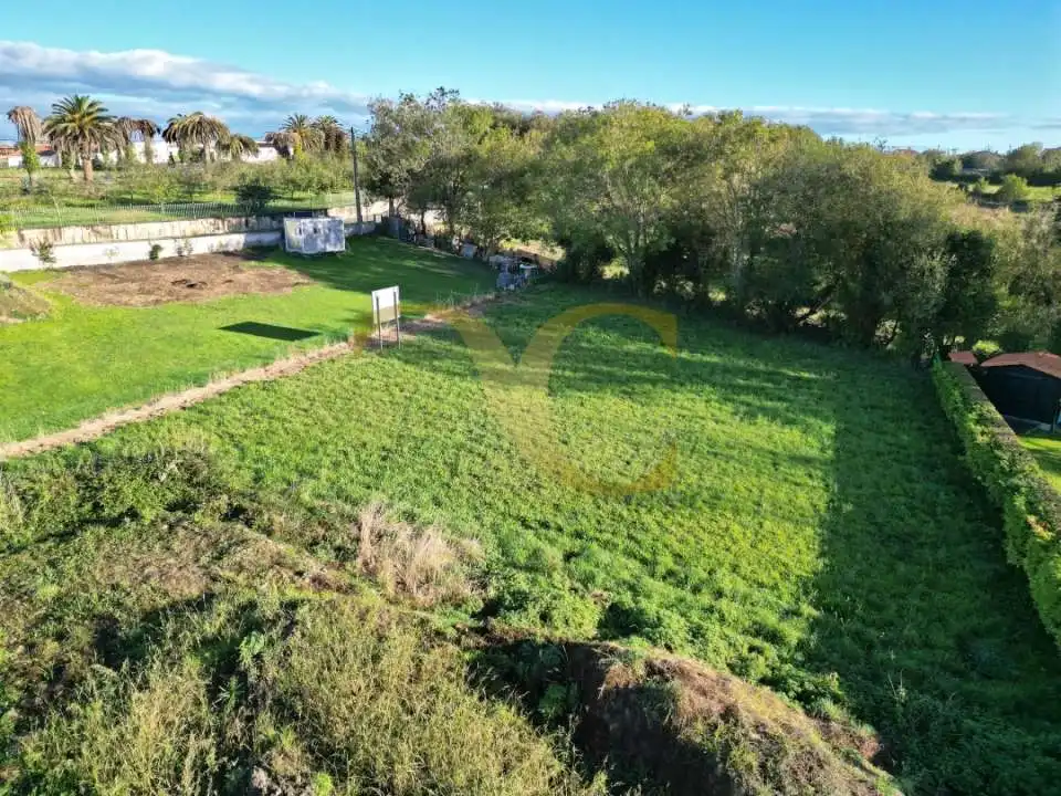 Terreno rustico in vendita a Carretera de Quintes, imagen 6