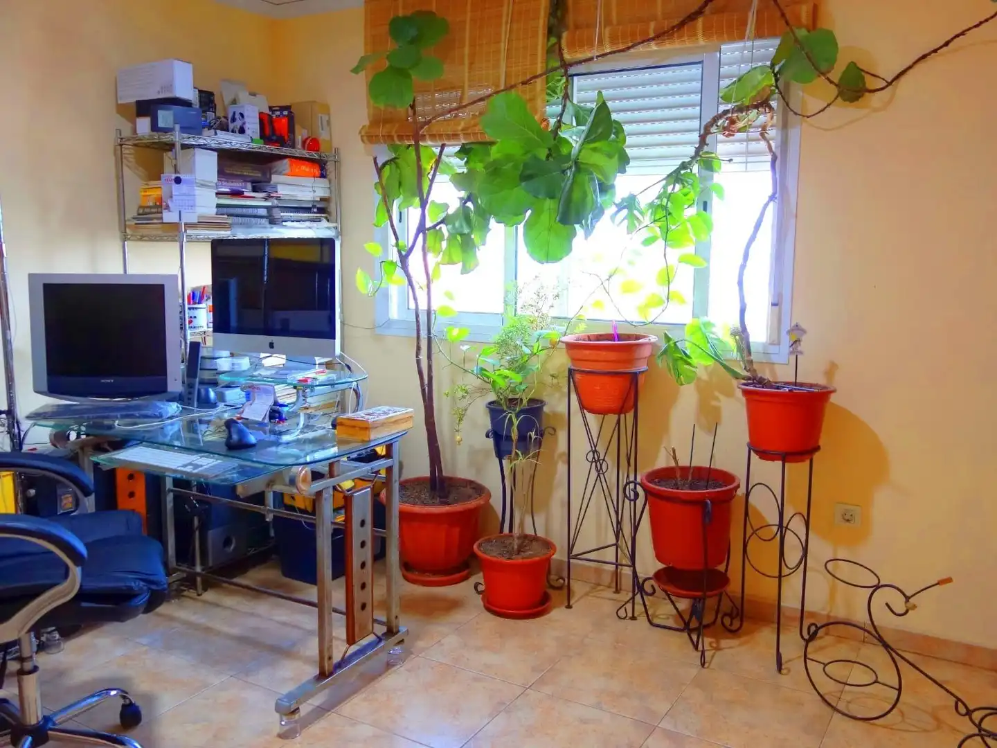 Semi-detached house with terrace for sale in Calle SAN JAIME, imagen 24