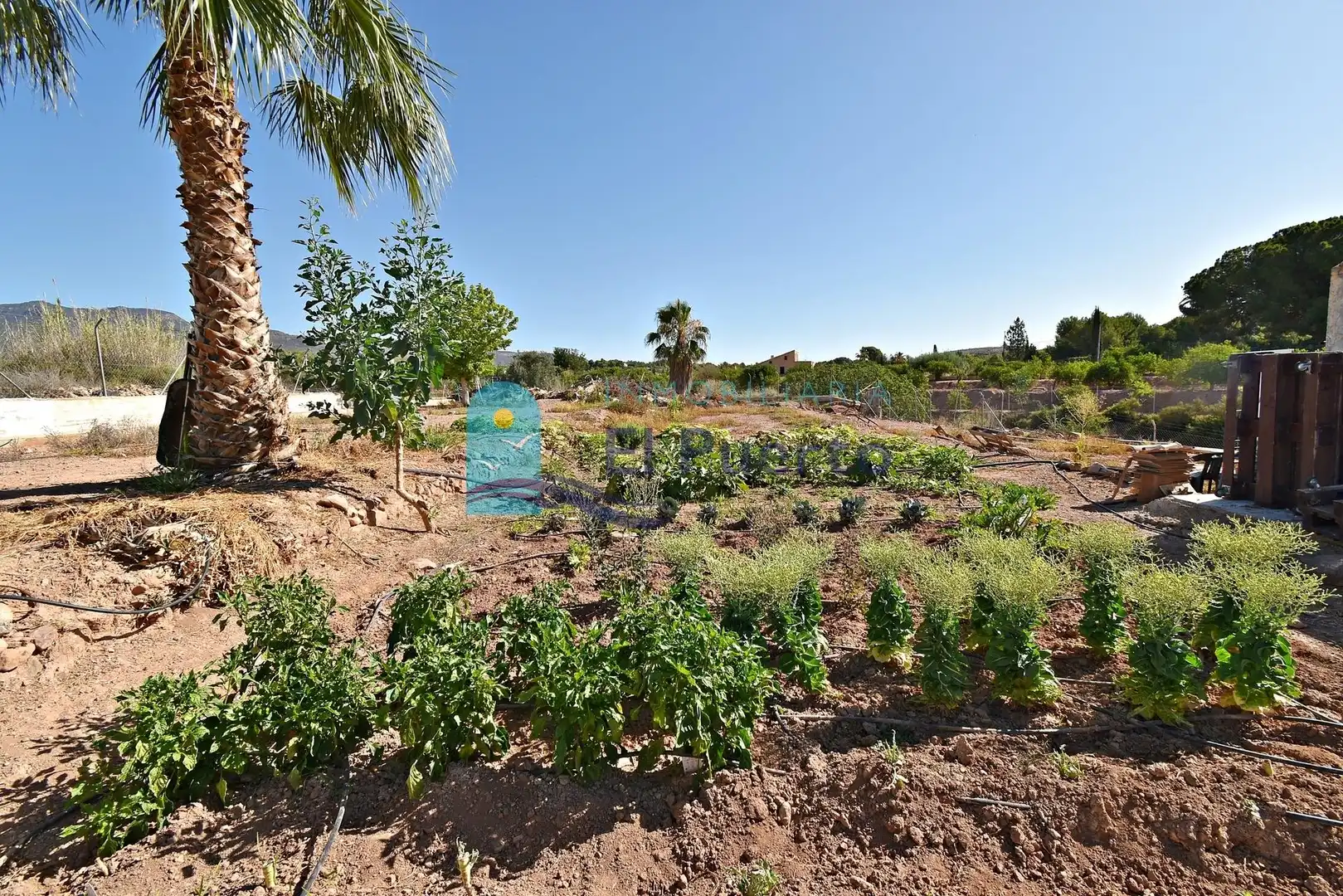 House with pool for sale in Totana, imagen 54