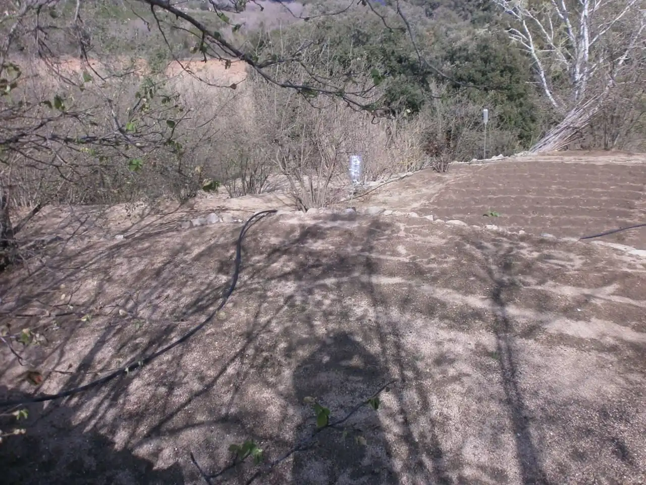 Land for sale in Vilaplana, Tarragona