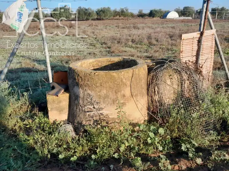 Terreni e lotti in vendita a Almonte ciudad, imagen 4