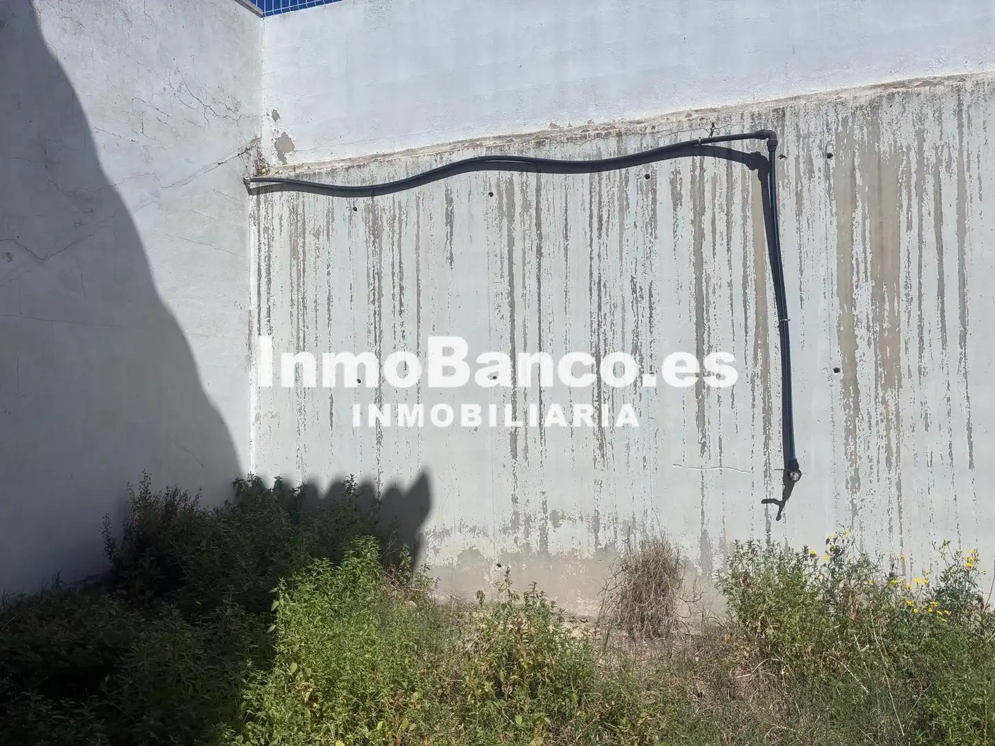Exterior view of Houses for sale in Montserrat  with Private garden and Terrace