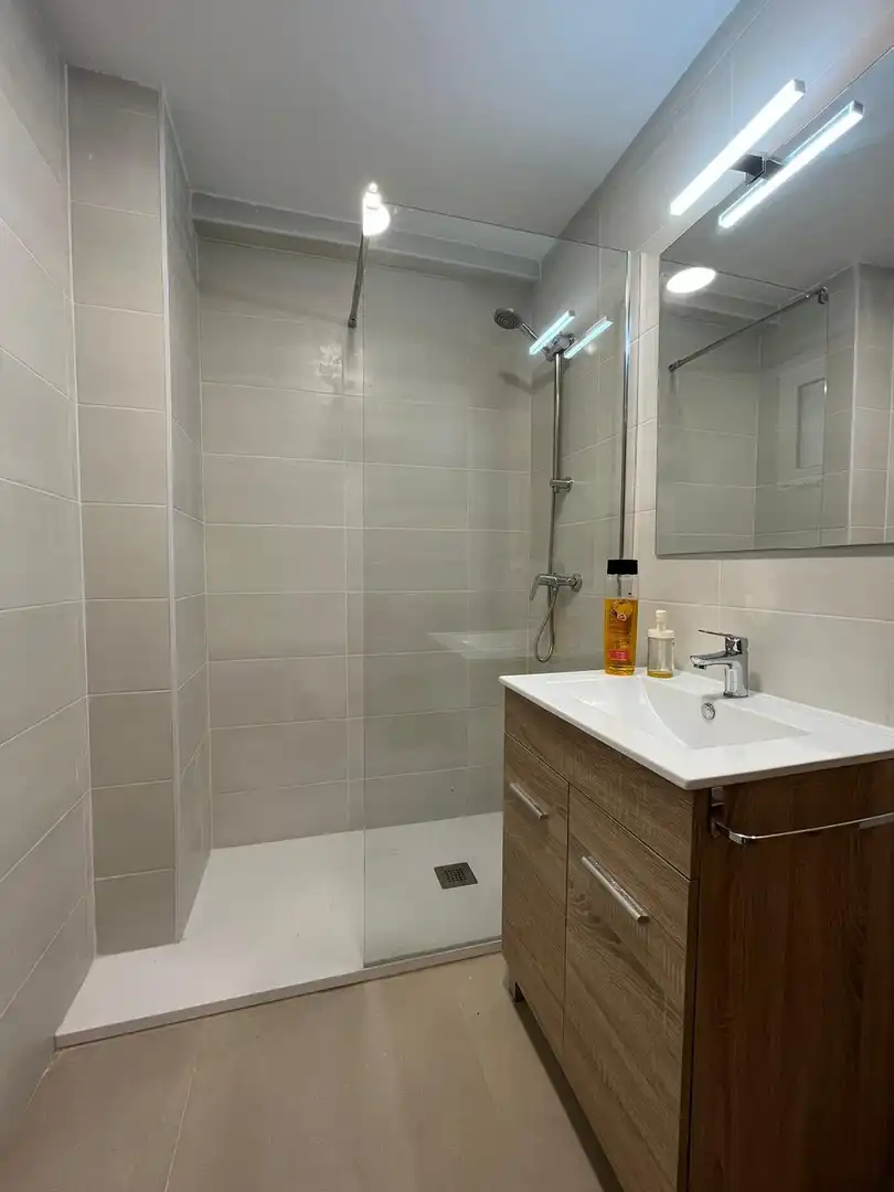 Appartamento con terrazza in vendita a Pla - Carolinas, imagen 8
