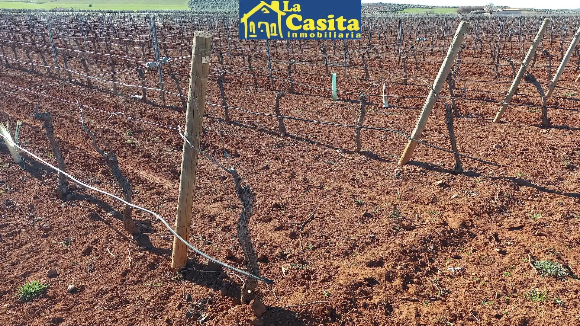Terreno rústico en venta en Camino de Miguelturra, imagen 3