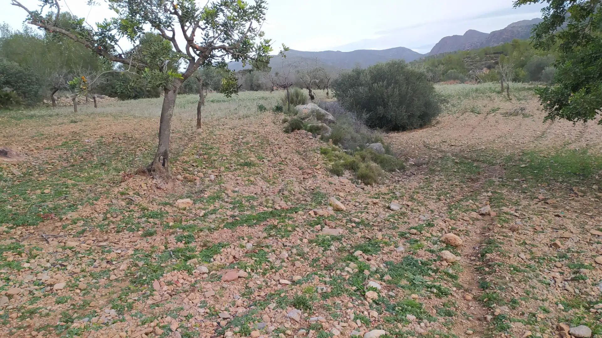 Terreno en venta en Llíria