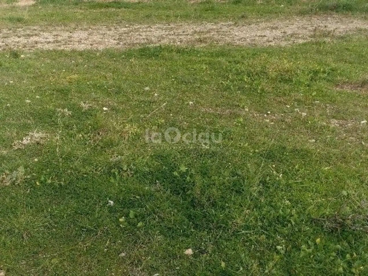 Rustikales Grundstück zum Verkauf in Tona