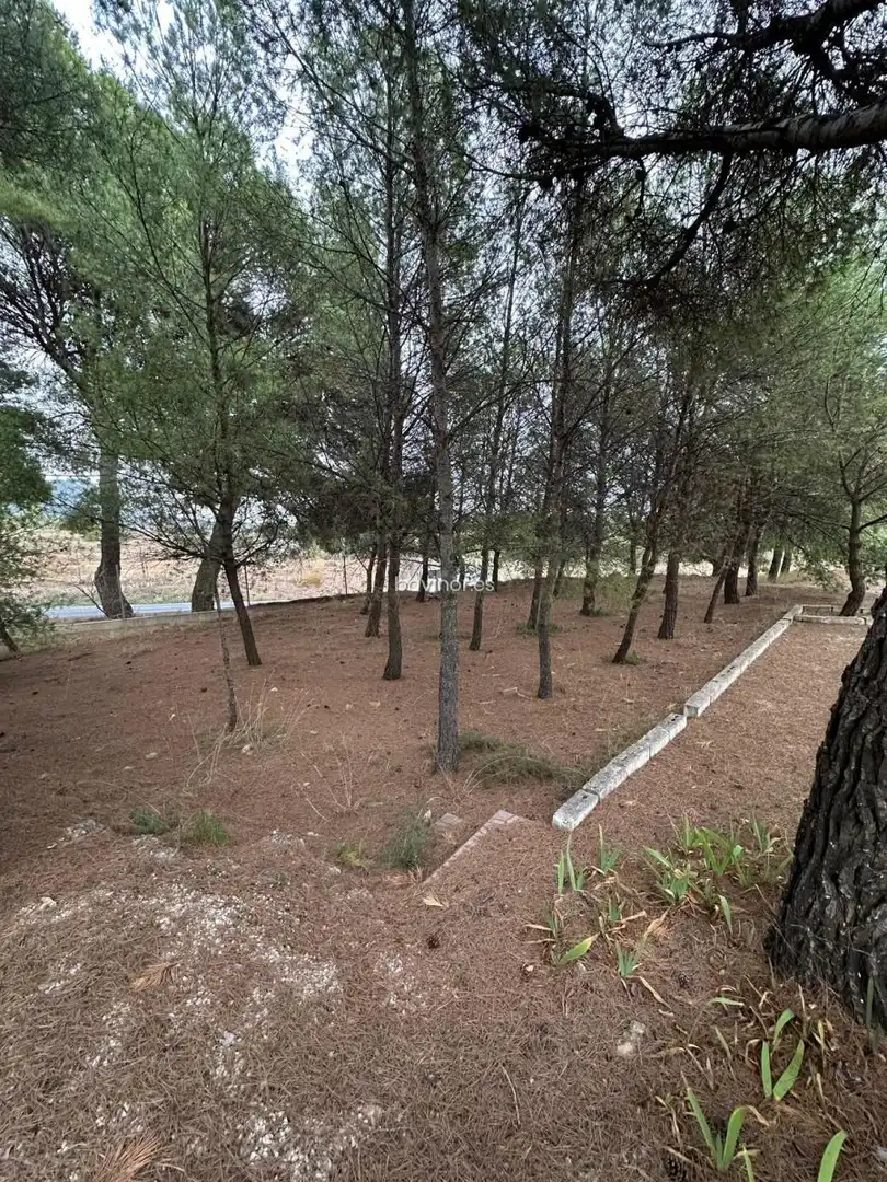 Chalet con jardín en venta en Aledo, imagen 14