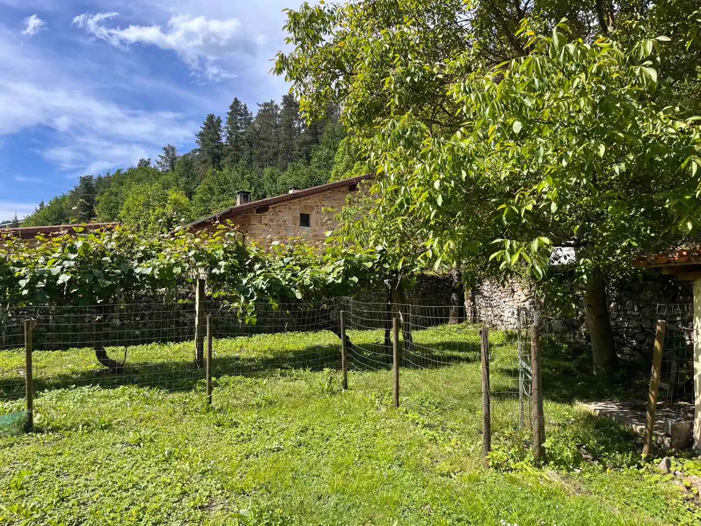 Jardí de Finca rústica en venda en Elorrio amb Jardí privat, Terrassa i Moblat