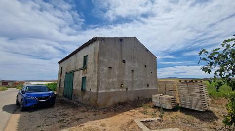 Foto 2 de Terreny en venda a  Finca Rehacios Angostos, Puerta, Riolobos, Cáceres