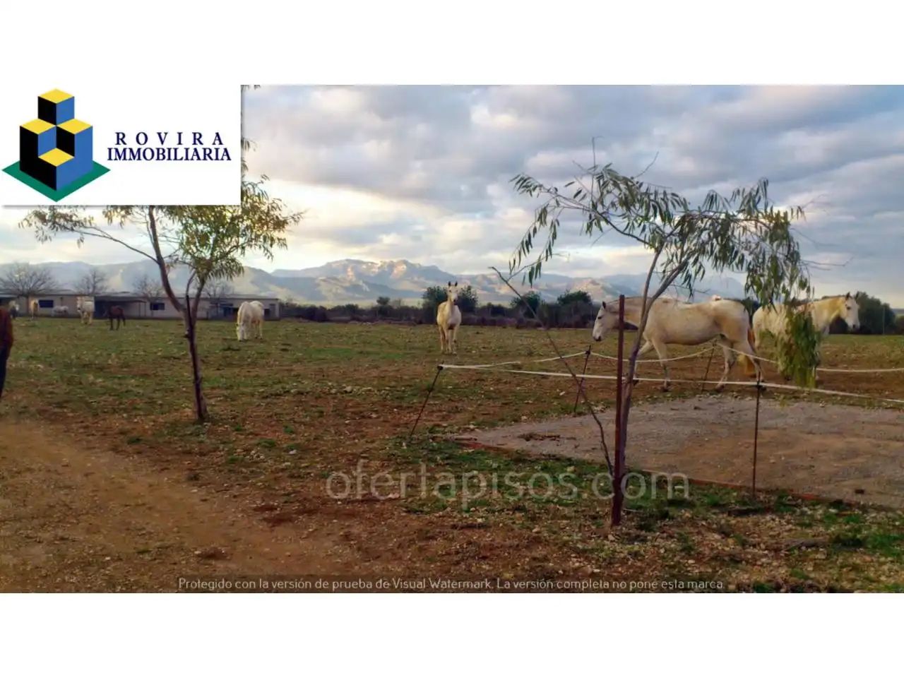 Rural land for sale in Calle COVETA DELS GATS