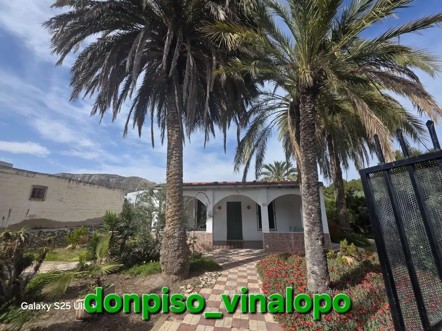 Vista exterior de Finca rústica en venta en Elda con Jardín privado, Trastero y Piscina