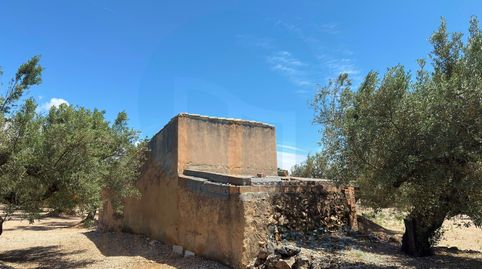 Foto 5 de Finca rústica en venda a Mas de Barberans, Tarragona