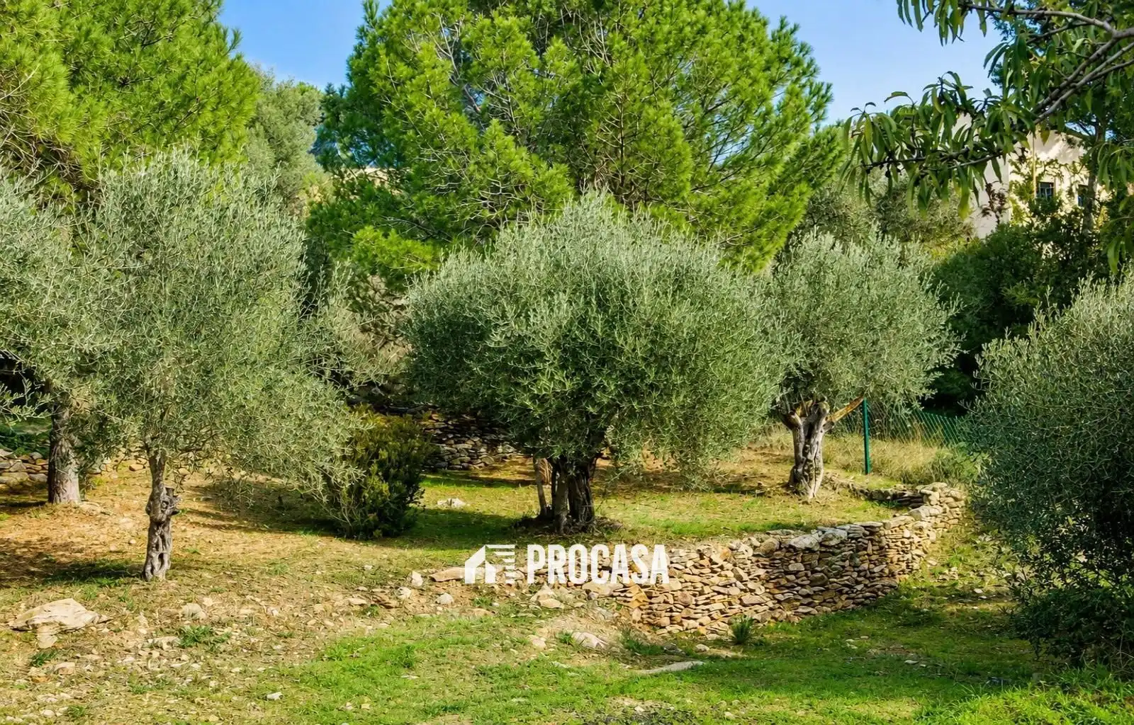 Terreno en venta en Pau