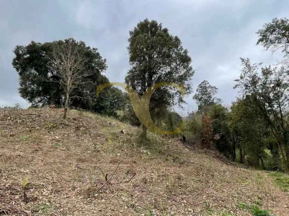 Residencial en venta en Villaviciosa