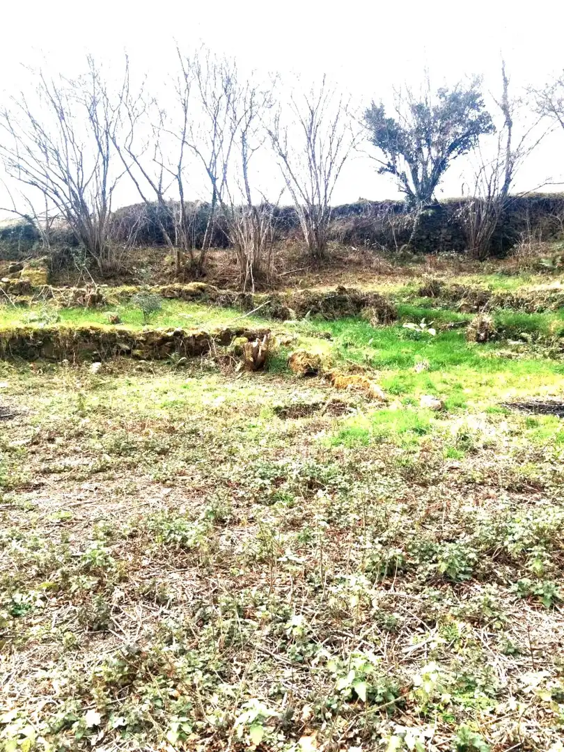 Residential land for sale in San Sebastián de Garabandal - SAN SEBASTIAN DE GARABANDAL 311/312, imagen 5