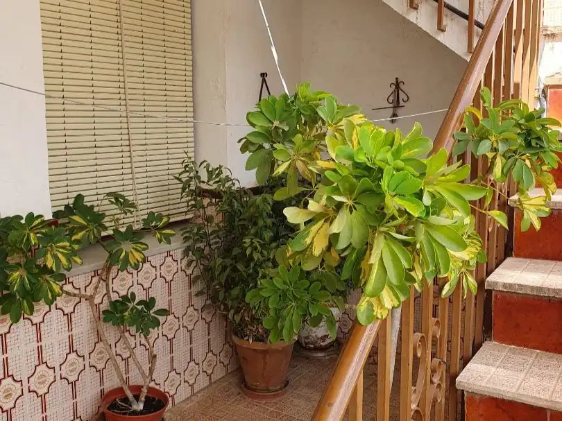 Terraza de Casa o chalet en venta en Campillos con Aire acondicionado, Terraza y Balcón