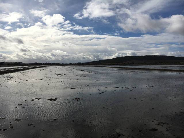 Terreno en Venta en Villar de Rena