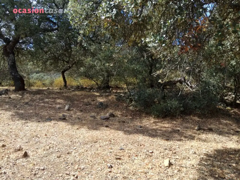 Finca rústica en venta en Villanueva del Duque