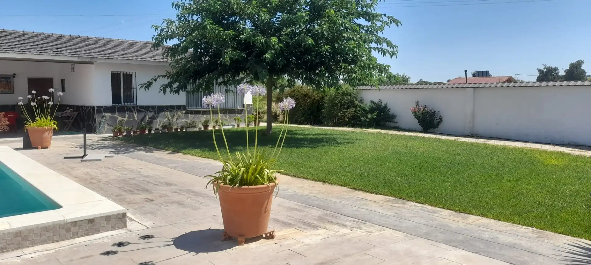 Chalet con piscina en venta en Don Benito, imagen 2