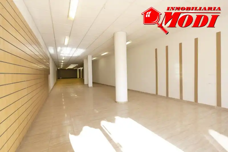 Business premises for sale in Villa de Otura, imagen 24