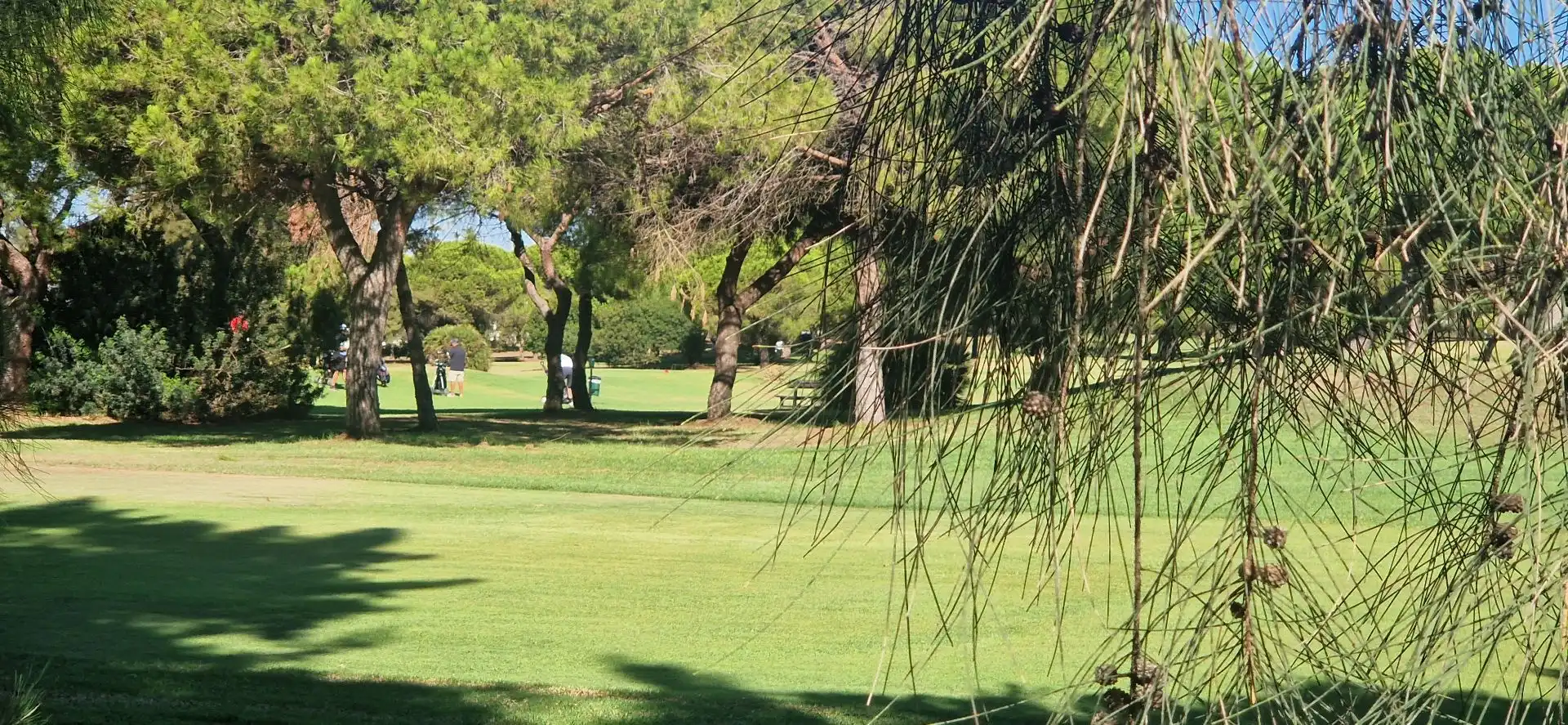 Apartments for sale in El Portil