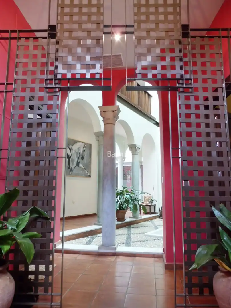 Casa o chalet en venta en Córdoba con Aire acondicionado, Parquet y Alarma