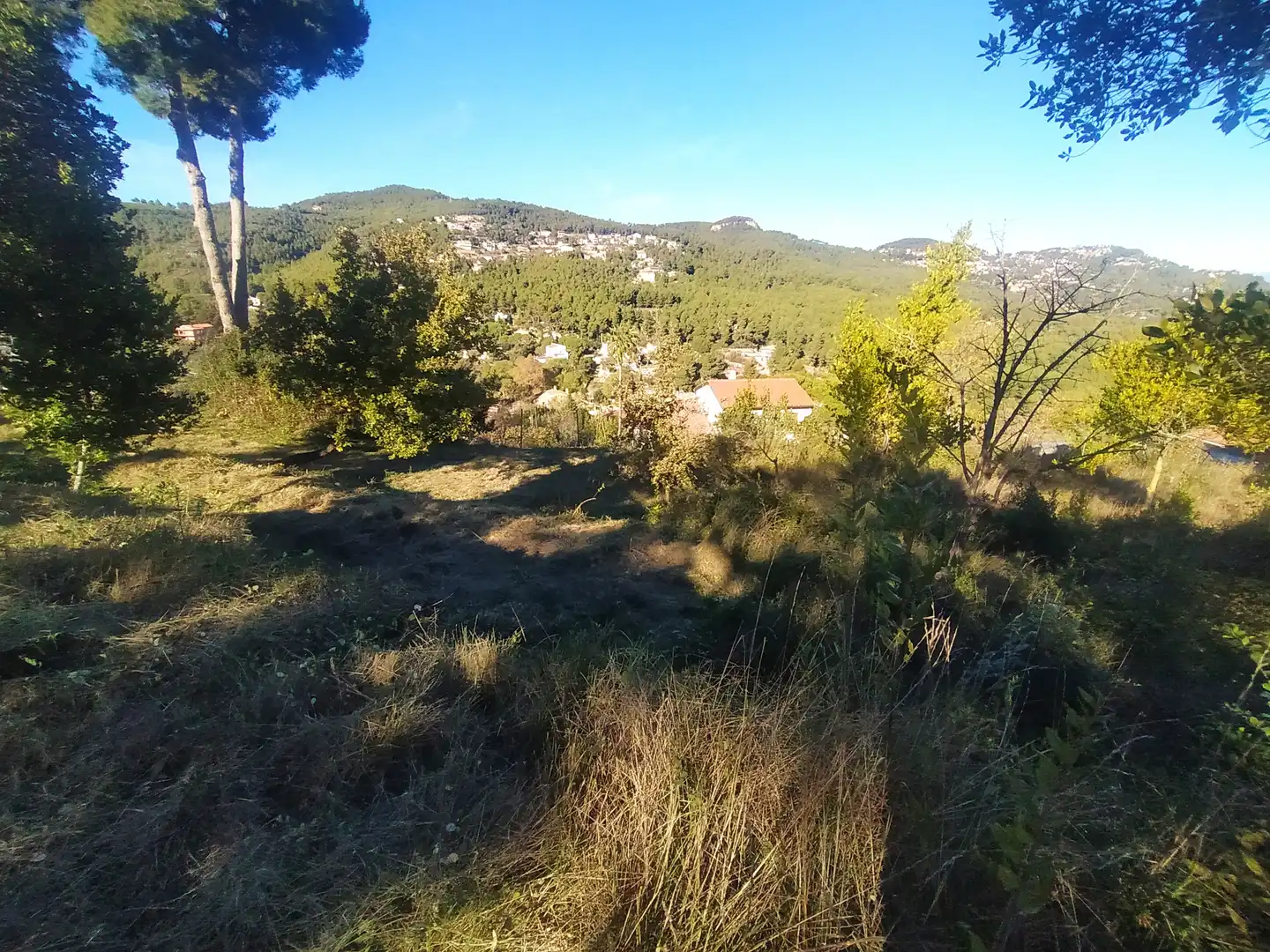 Terreny rústic en venda a Carrer de Ca n'Armengol 3, imagen 10