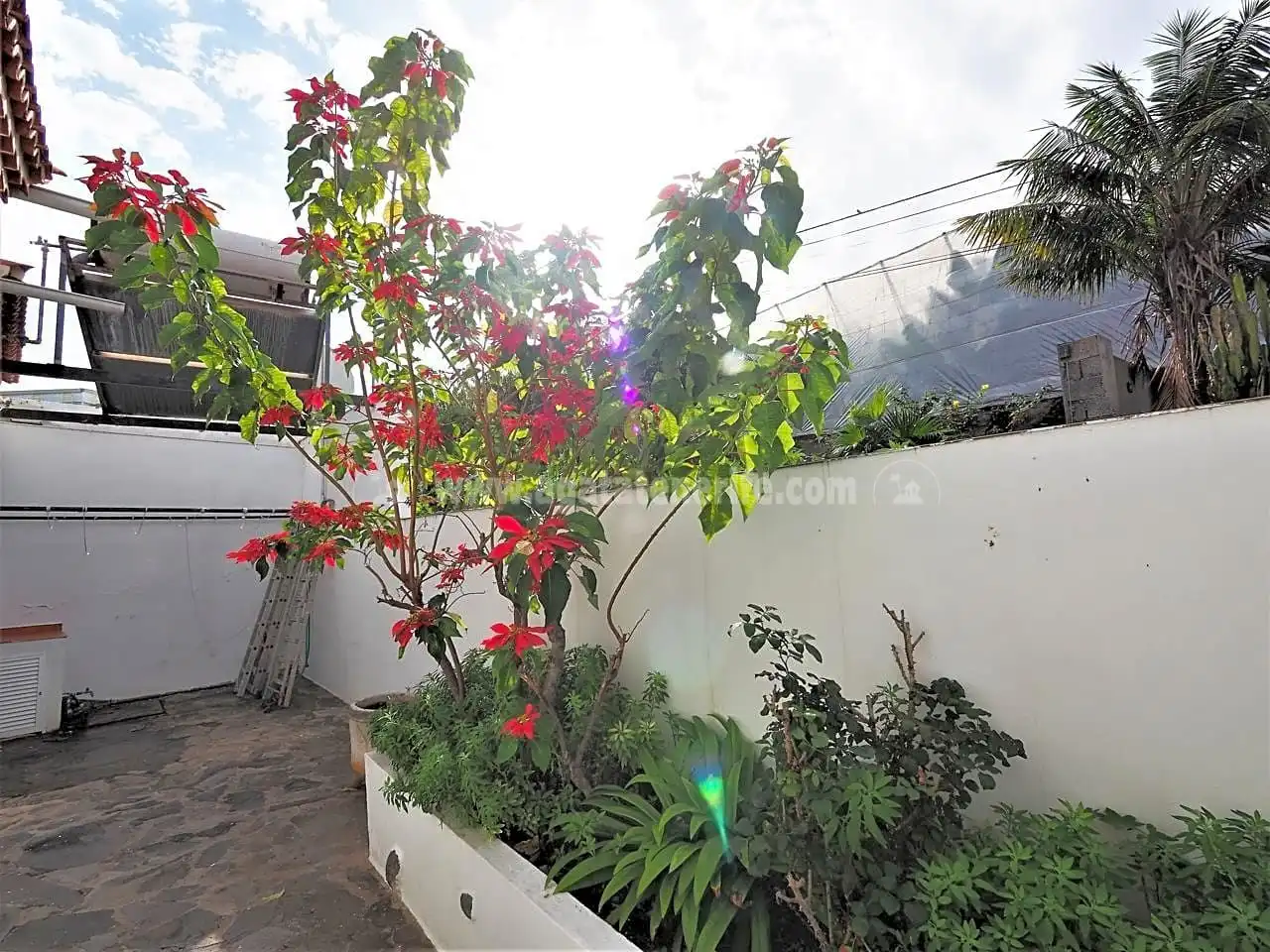 Jardí de Casa o xalet en venda en Icod de los Vinos amb Parquet, Terrassa i Traster