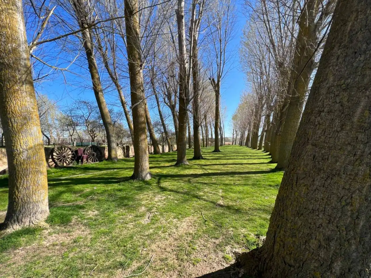 Vista exterior de Casa o chalet en venta en Frandovínez