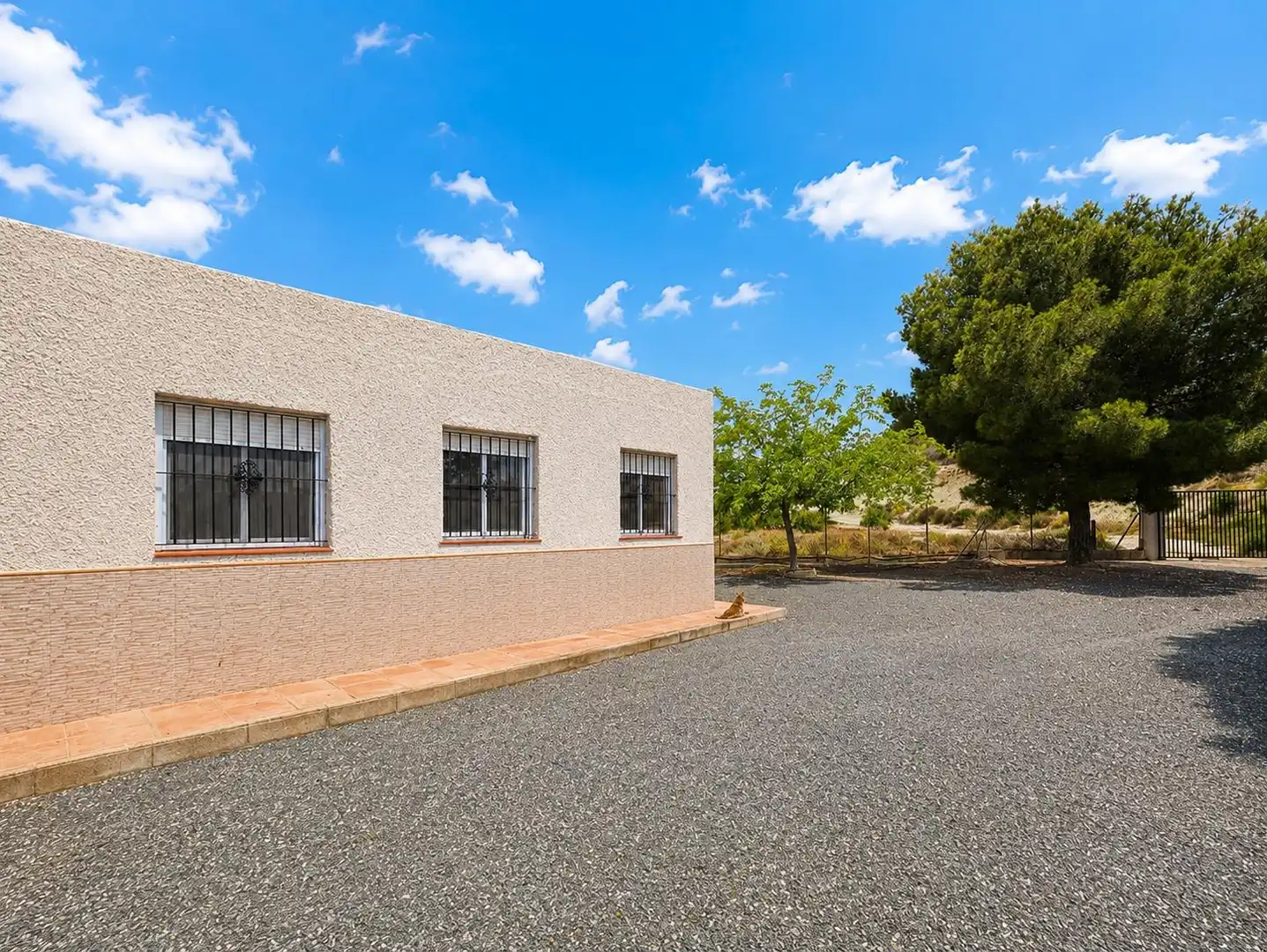 Exterior view of Houses for sale in Novelda  with Private garden, Storage room and Swimming Pool