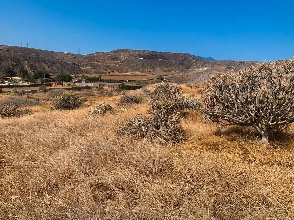 Rural land for sale in Caserones - La Higuera, imagen 10