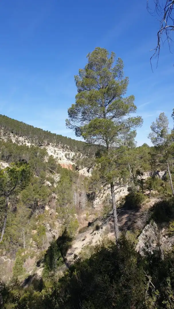 Terrain résidentiel à vendre à Requena, imagen 13