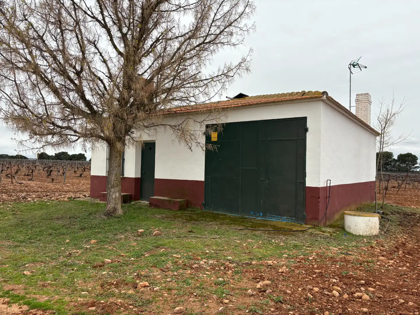 Terreno rústico en venta en Camino de Tomelloso a Villarrobledo 562, imagen 13