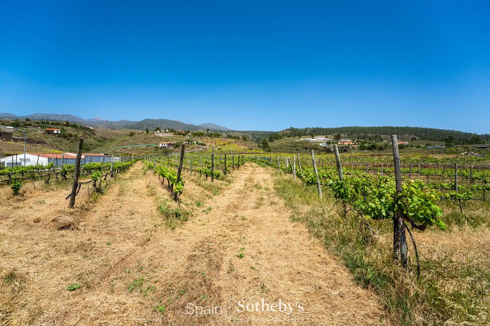 Residential for sale in Adeje