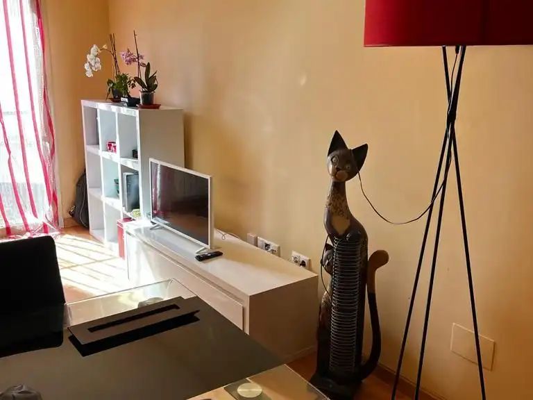 Sala de estar de Apartamento de alquiler en Casco Antiguo