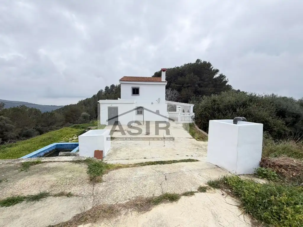 Exterior view of Houses for sale in Alzira